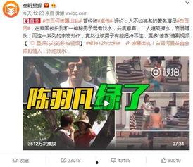 初威最新爆料视频大全集,揭秘幕后真相，带你领略风云变幻