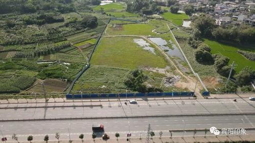 最新宾阳爆料区,揭秘宾阳热点事件与民生焦点